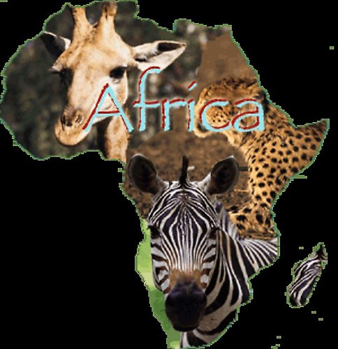 Believe Africa  Community