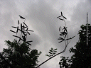 A message carried on the wind
