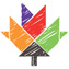 TakingITGlobal Dispatch 11.1: Adobe Youth Voices