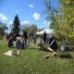 Solar Ovens