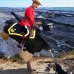 tarsands ostrich