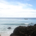 Save our sea