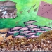 Protect and recover endangered species