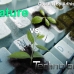 Nature Vs Technology