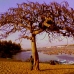 Alone
