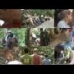 OFI Volunteer Program - Team 2 2009.wmv