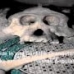 halida agustini project borneo.wmv