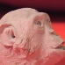 Chimpanzee Sculpture