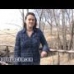 Jackie Mobley: Send Me to Borneo