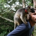 Paul with a Tree Kangaroo