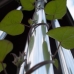 Hearts and Windchimes