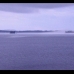 June Exhibit - The Bay