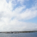 Newfoundland Coast