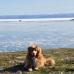 A beautiful summer day in the Arctic