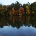 The Dock