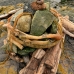 Power of Nature