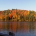 Fall Reflections