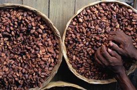 Exploitative Child Labour in Cocoa-Producing West African Nations.