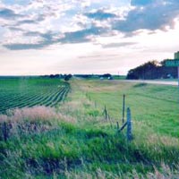 Exodus from the Rural