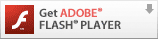 Get the flash plugin