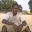 dulkamara