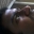 indwin
