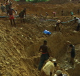 Diggers in Sierra Leone