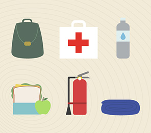 International Day for Natural Disaster Reduction