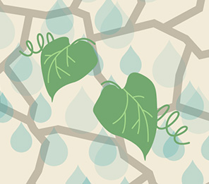 World Day to Combat Desertification and Drought